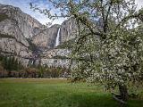 Yosemite 021